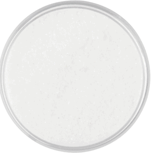 Claresa Pyłek Quartz 4 White Blue