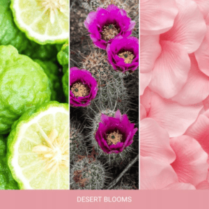 Yankee Candle Desert Blooms Duża Świeca - obrazek 2