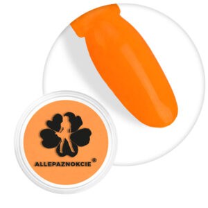 Pyłek do Paznokci Smoke Nails Efekt Dymu Neon Light Orange Nr 04