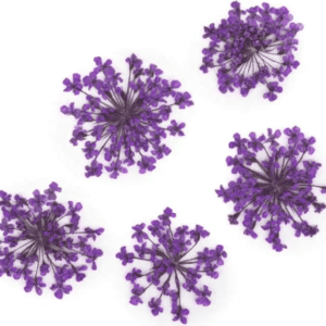 Molly Lac Suszone Kwiatki 5szt. Purple