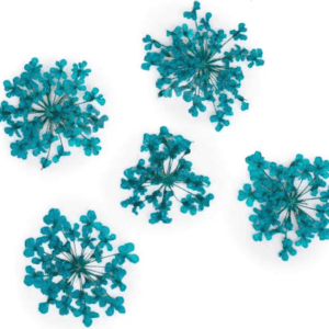 Molly Lac Suszone Kwiatki 5szt. Turquise